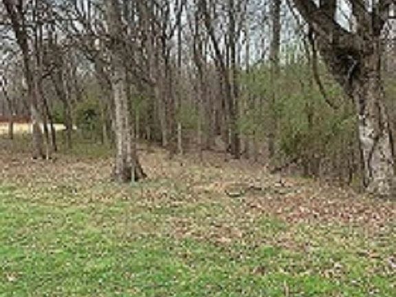 3rd image of 0 Riverwood Dr