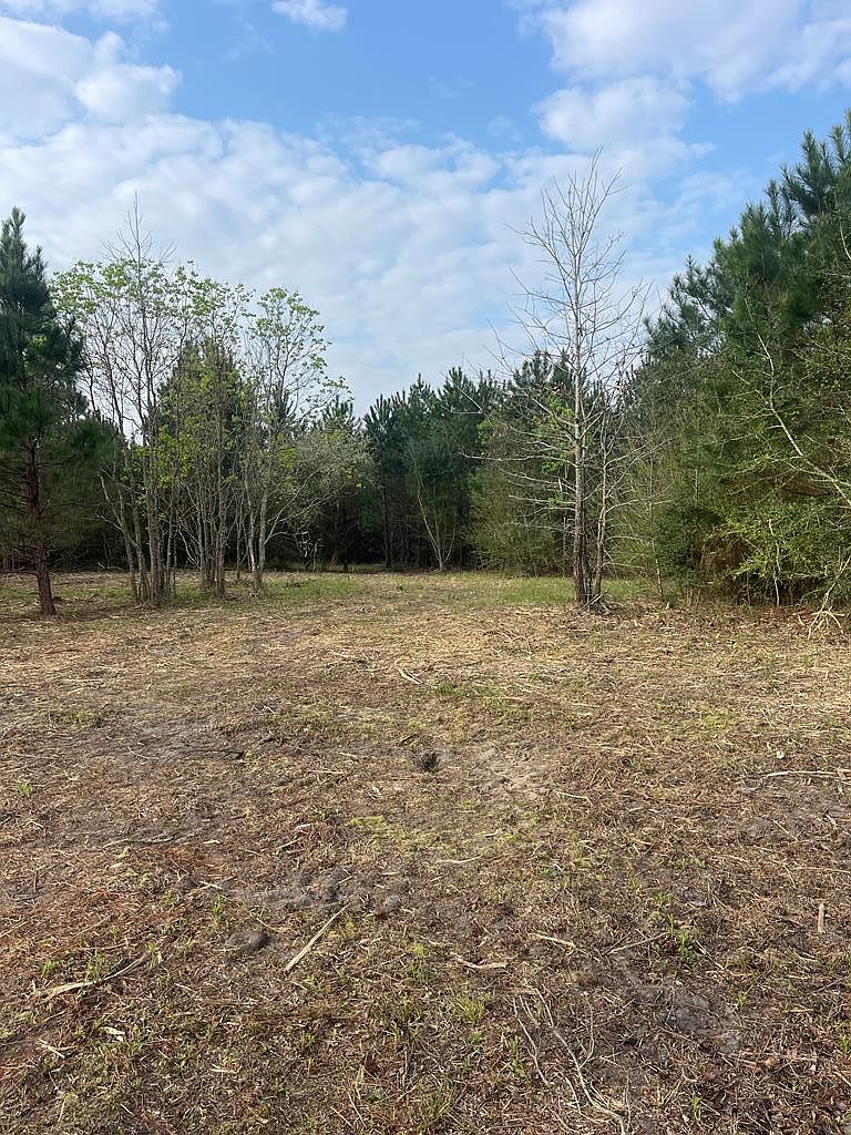 Township Road 1 Buck Kirkland Rd, Poplarville, MS 39470 | Zillow