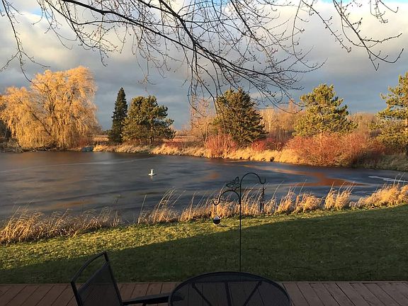pond view