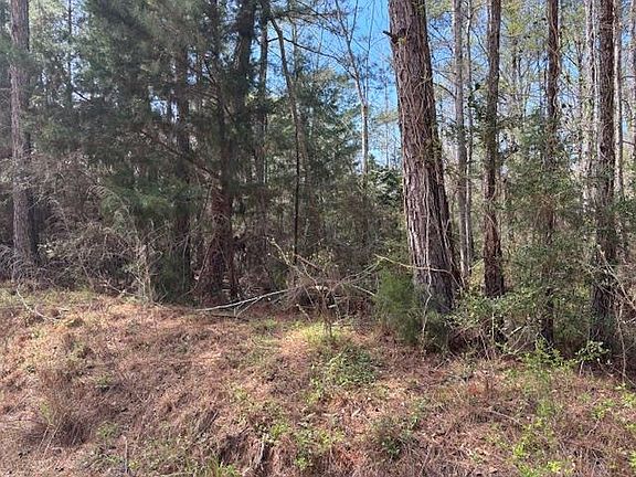 3rd image of Conecuh River Church Rd