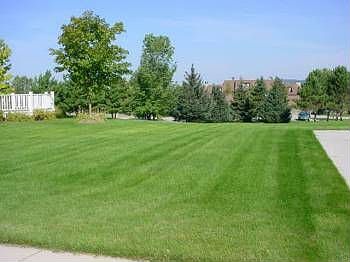 2nd image of 710 Lake Park Dr
