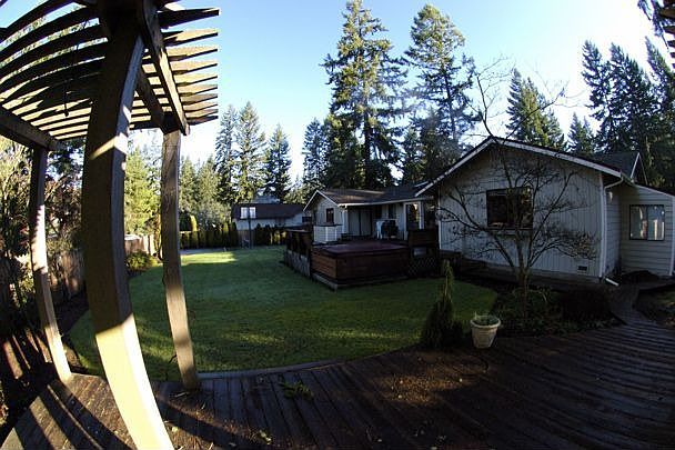 Pergola / Backyard
