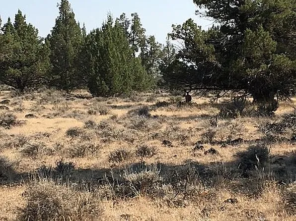 LOT 1 Mule Deer Ln, Alturas, CA 96101