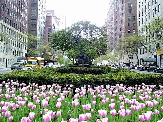 Sold by Stribling | media 10