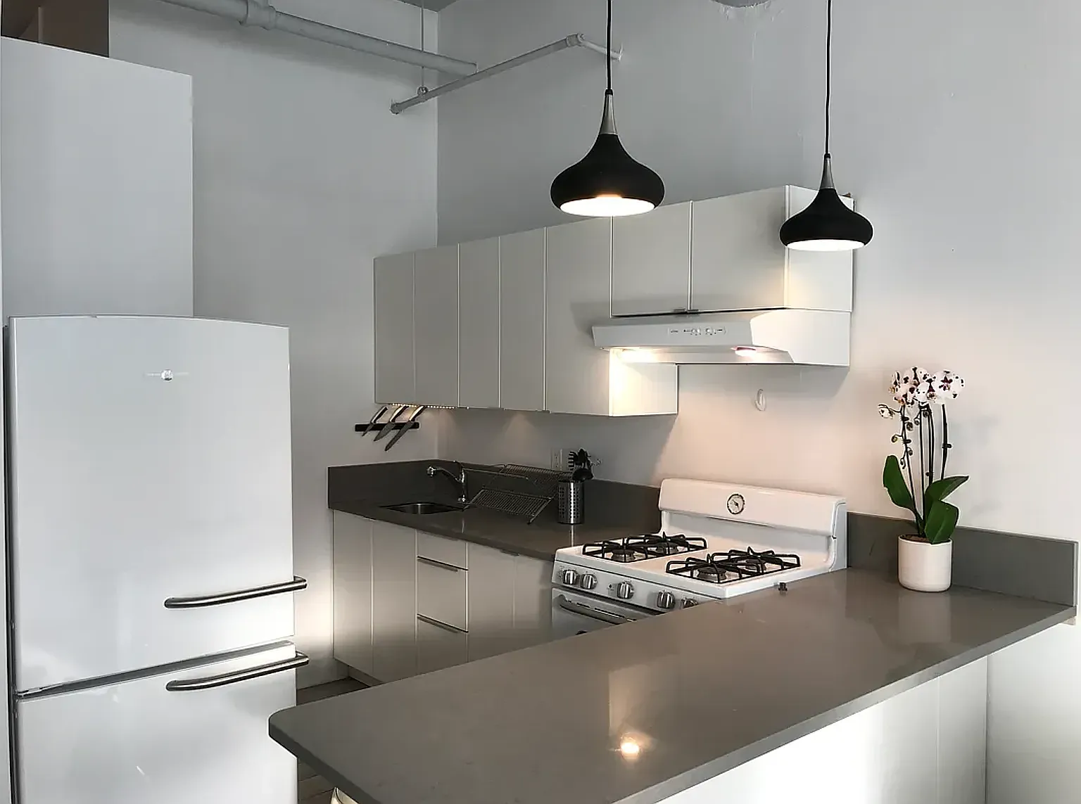 170 Tillary Street — Photo 1