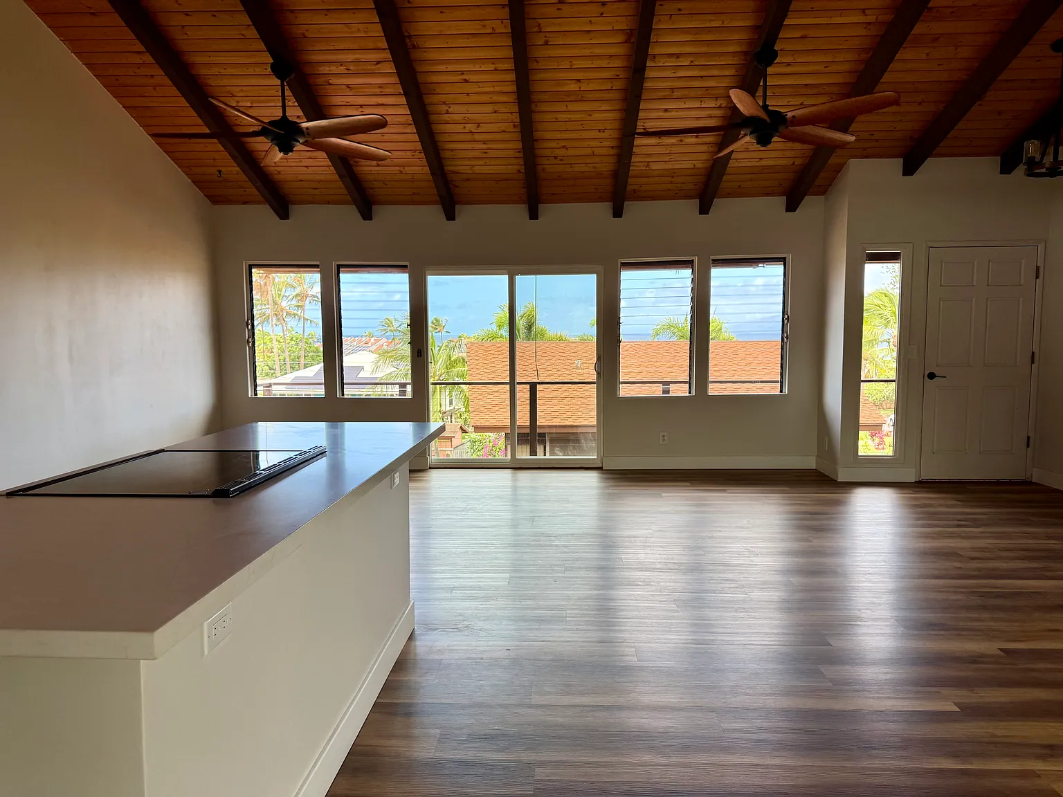 3882 Mahinahina St — Photo 4