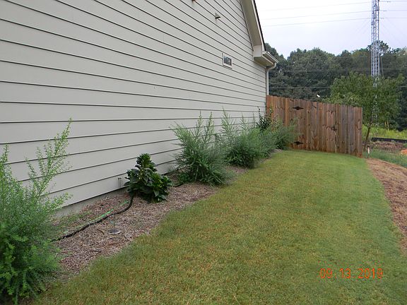 Established Side Yard