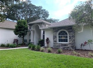 2555 Regal River Rd, Valrico, FL 33596