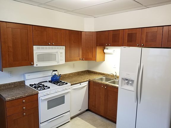 Kitchen with new cabinets, dishwasher, built-in microwave