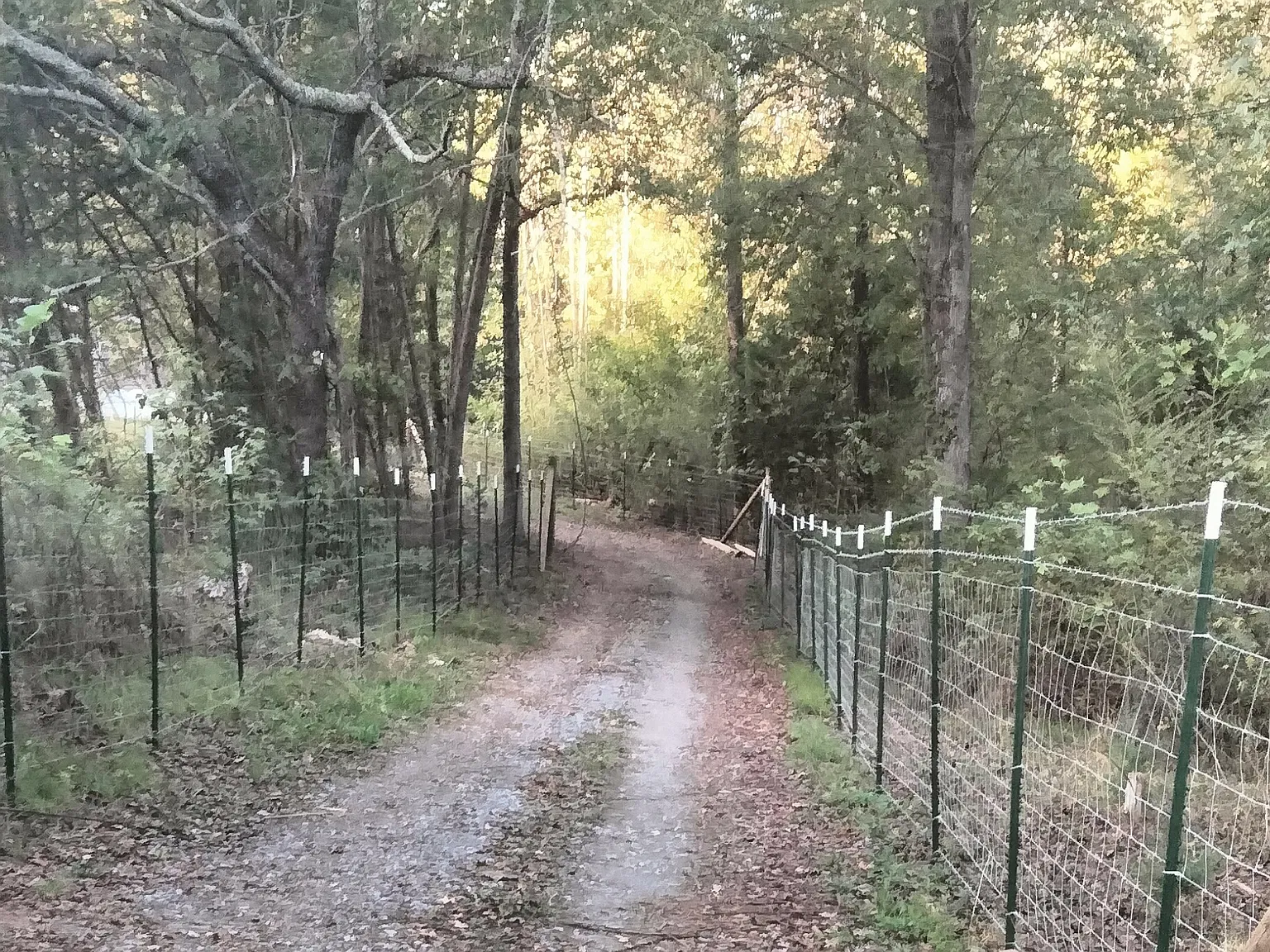 E Highwater Rd, Soddy Daisy — Photo 1