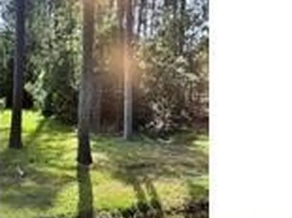 880AC Lillys Neck Rd Lot 29, Moon, VA 23119
