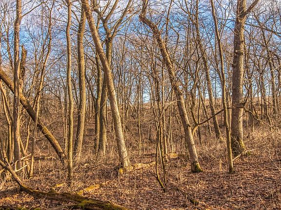 5th image of Xx Belvidere Ridge Rd