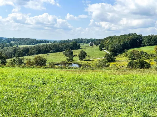 TBD Head Road, Callicoon, NY 12723