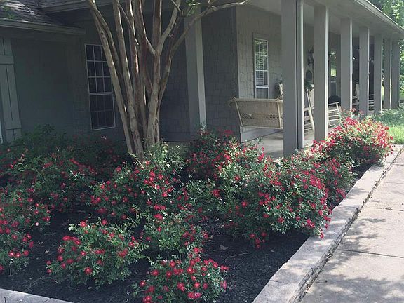 2nd image of 753 Shady Oaks Cir
