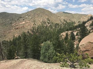16139 Cochise Trl, Pine, CO 80470