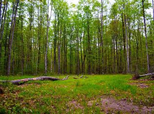 Covert Rd NE, Mancelona, MI 49659
