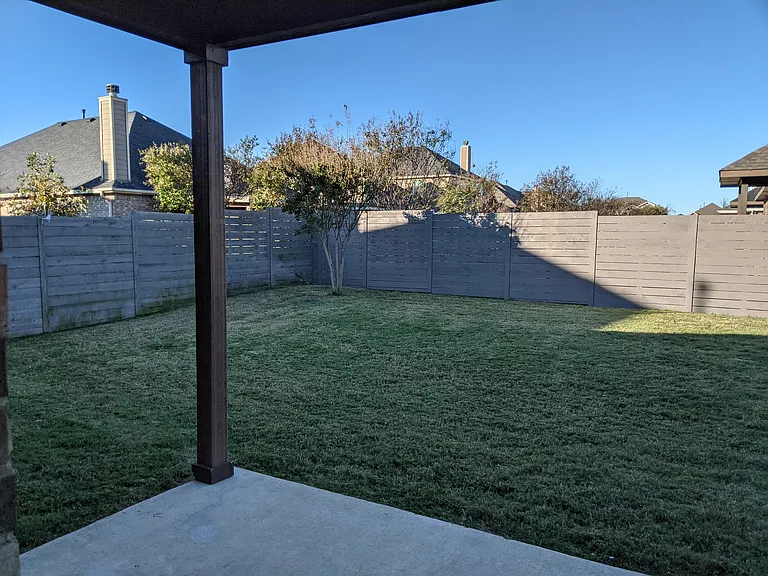 back yard