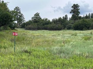 1084 Crowley Dr, Pagosa Springs, CO 81147