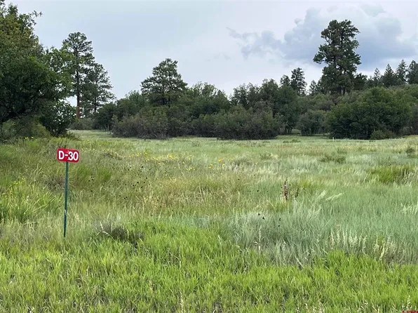 1084 Crowley Drive, Chromo, CO 81147