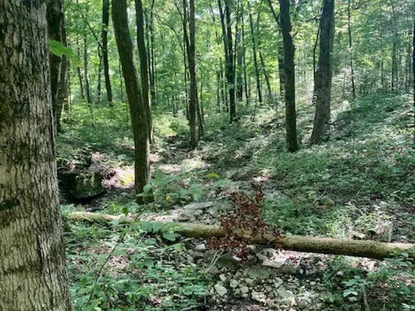 0 Statesville Rd Lot 2, Watertown, TN 37184