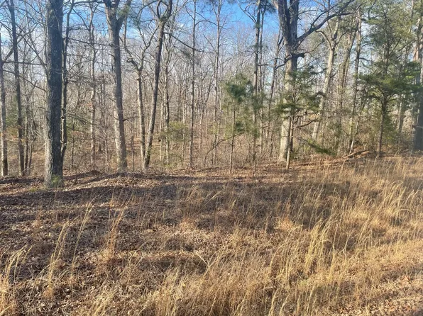 217 Magee Trl Lot 20, Henderson, TN 38340