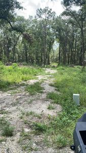 00 SW 186 Ct, Dunnellon, FL, 34432