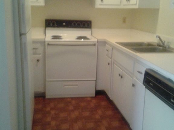 4th image of 4307 Vfw Dr APT 10