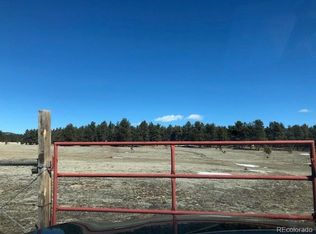 1790 Doe Valley Rd, Guffey, CO 80820