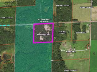 Hubert Rd, Hillman, MI 49746