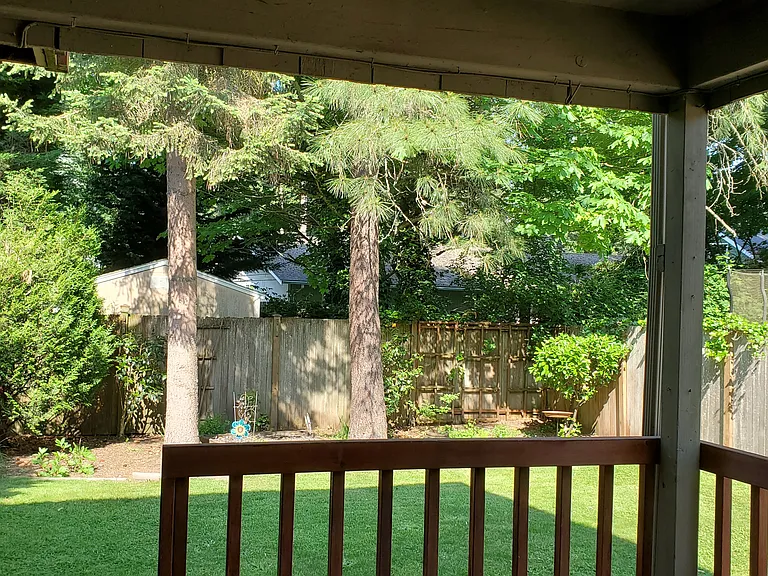 Deck overlooking the backyard