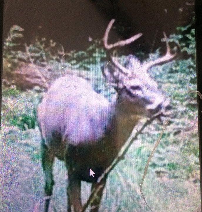 1st image of 1312 County Route 24