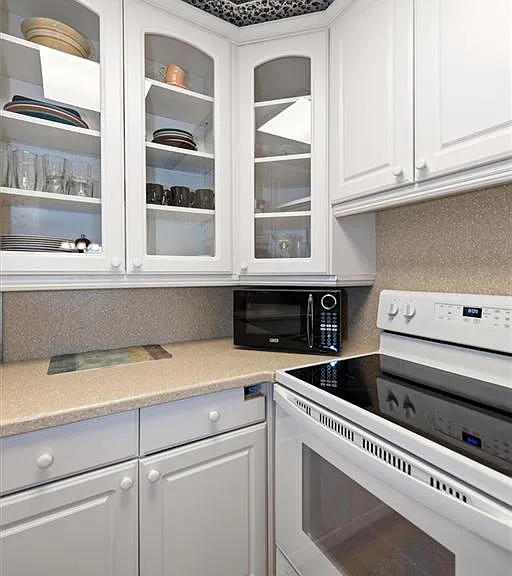 1065 Gulf Shore Blvd N #205 — Photo 20