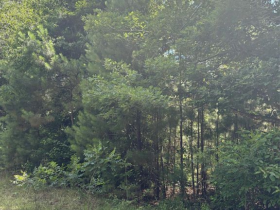 3rd image of 3133 County Road 4525