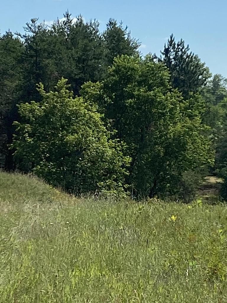 Lt0 Love Ln, Pembine, WI 54156 Zillow