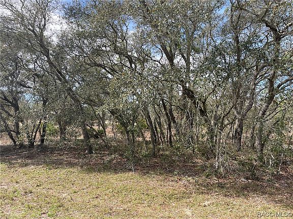 3rd image of 6656 N Grayton Ter