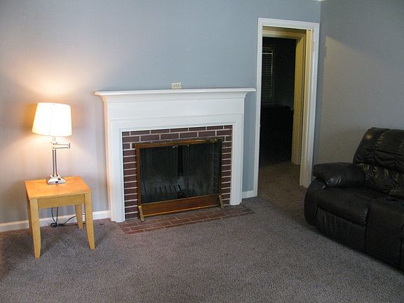 Wood Burning Fireplace