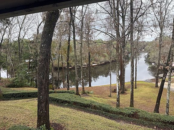 Peaceful creek view