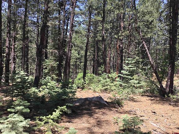 5th image of 429 Enchanted Forest Drive