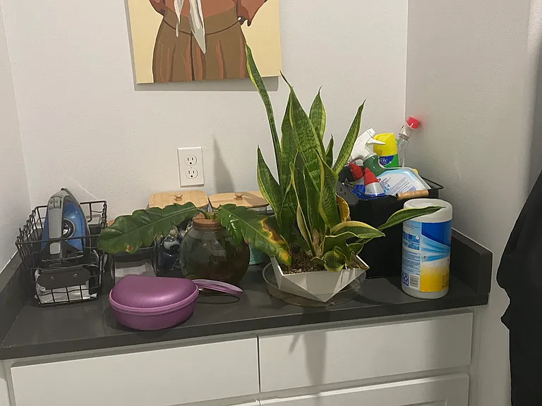 445 Sun Temple Rd #1 — Photo 19