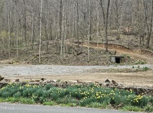 Right Poor Valley Rd, Dryden, VA 24243