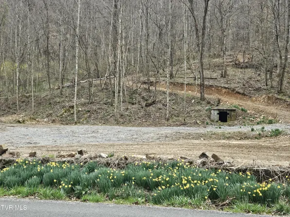 Right Poor Valley Rd, Dryden, VA 24243