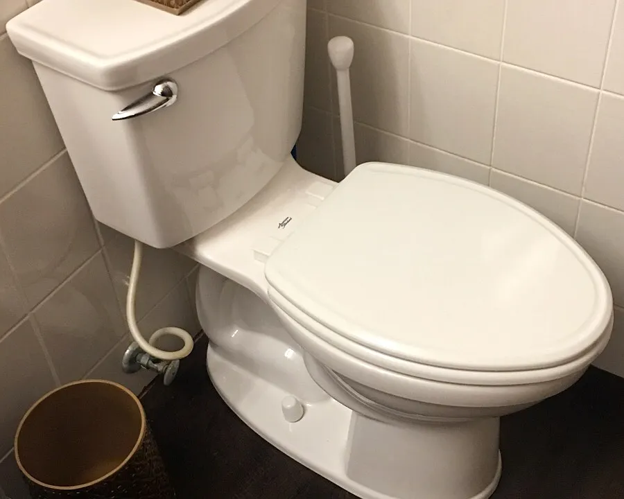 Golf Ball Flushing Toilet 
