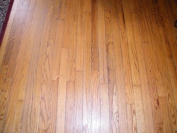 4th image of 1056 Woodland Ave