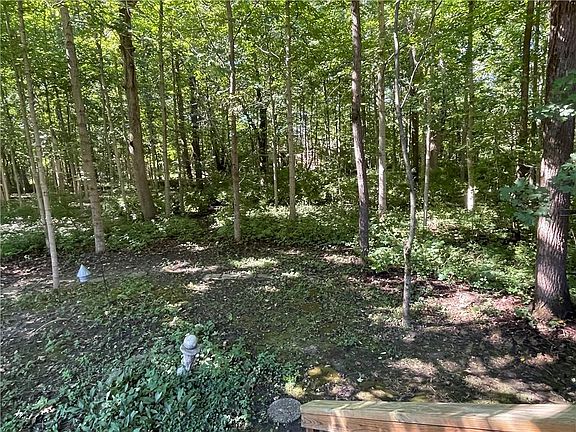 3rd image of 12053 Laurel Oak Dr