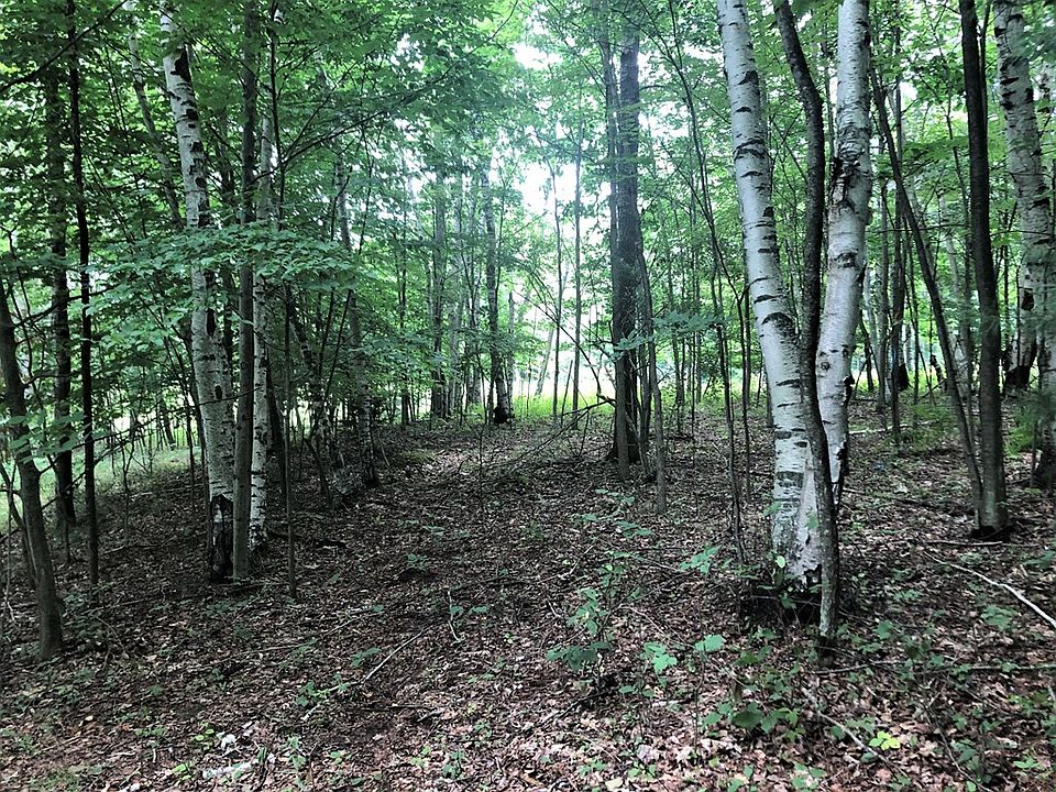 2nd image of Hills Creek Lake Rd