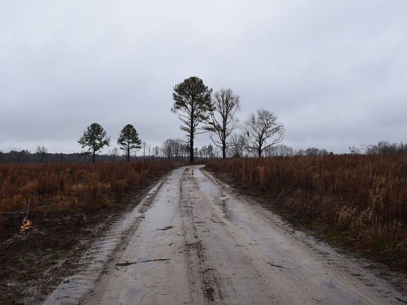 5th image of 2310 Piney Mount Church Rd Lot Wp01