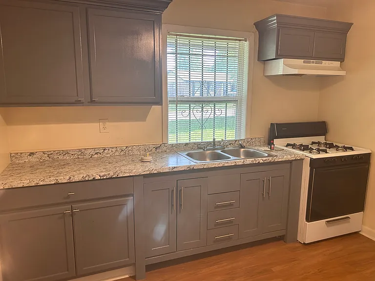 196 Dixboro Dr — Photo 18