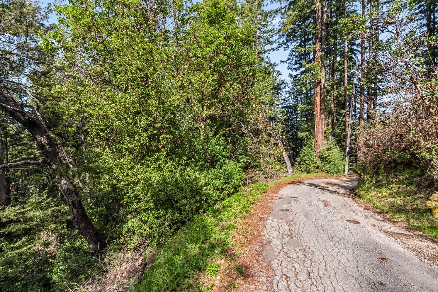 8 Lake Blvd Lot 38 photo 1