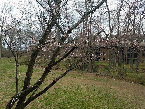 Private 2nd Floor Balcony overlooking lawn and trees