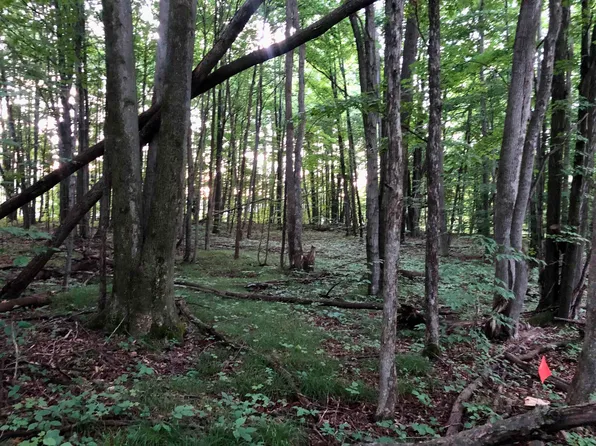 Stub Rd, Harrison, MI 48625